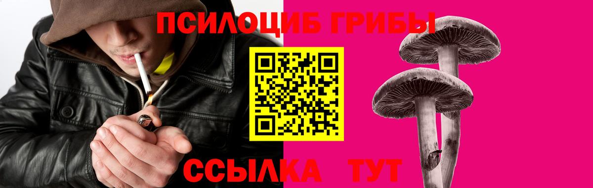 Галлюциногенные грибы Magic Shrooms Керчь